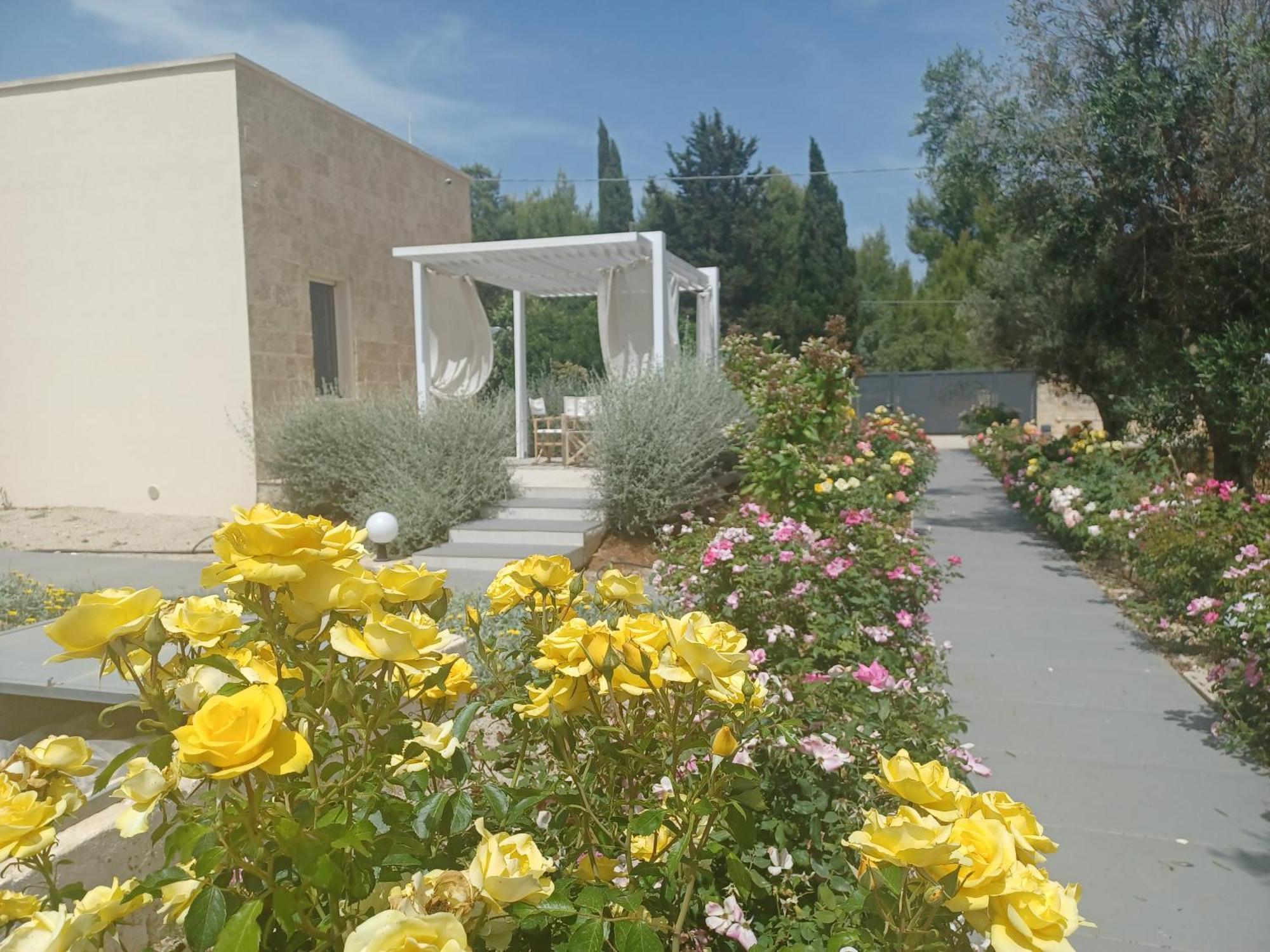 Zeituna Lodge A Porto Cesareo Torre Lapillo Buitenkant foto