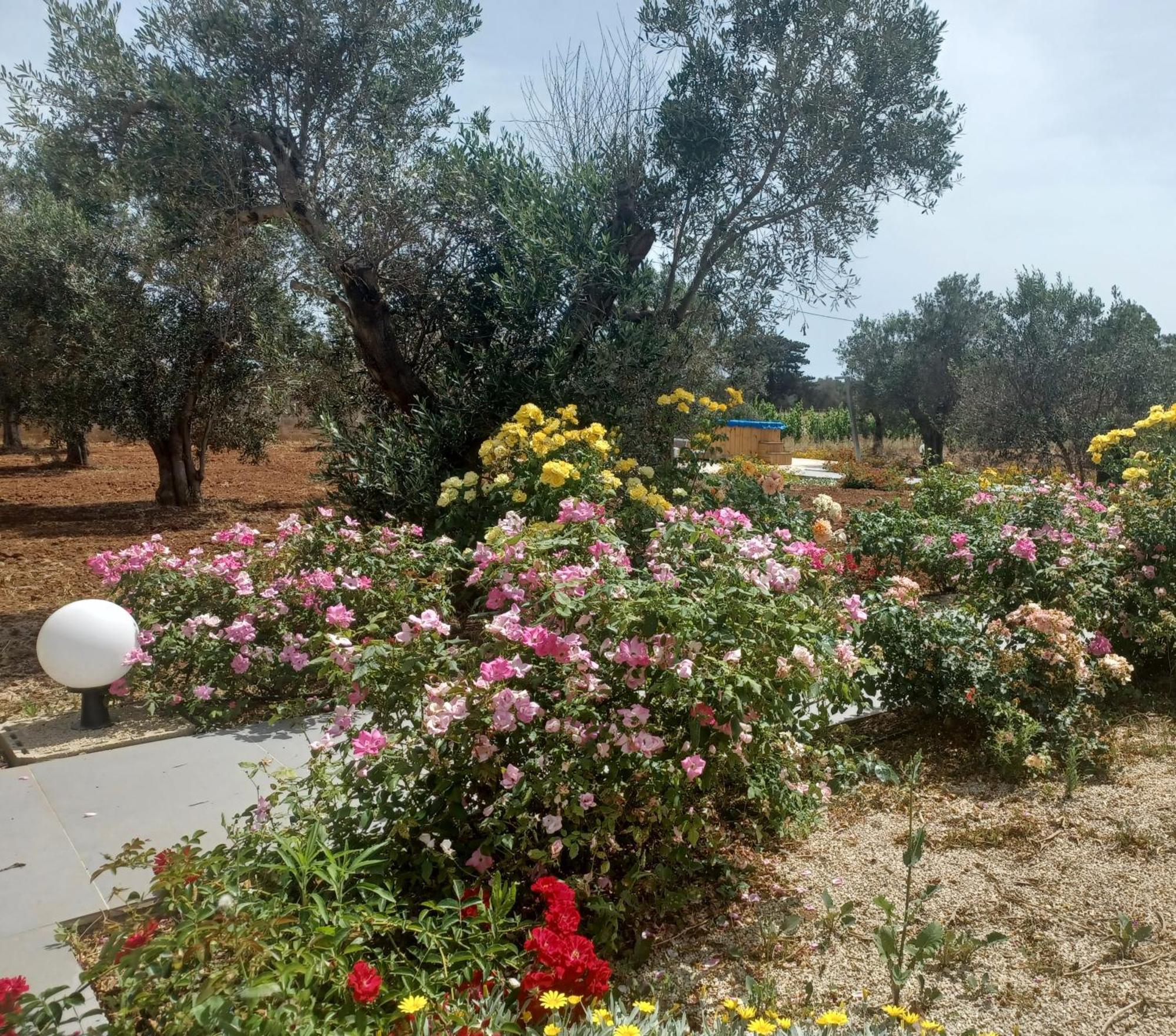 Zeituna Lodge A Porto Cesareo Torre Lapillo Buitenkant foto