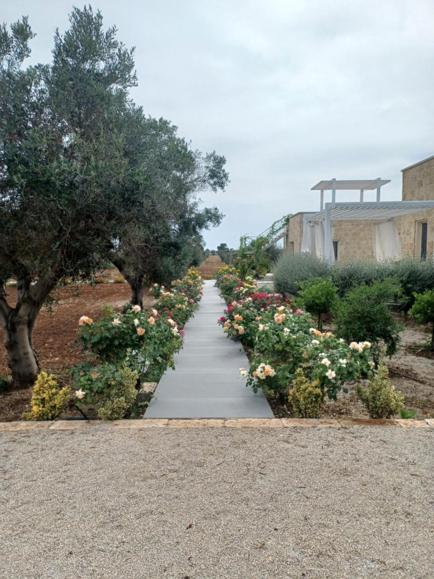 Zeituna Lodge A Porto Cesareo Torre Lapillo Buitenkant foto
